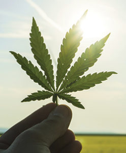 ADHD and marijuana
