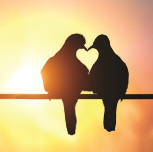 ADHD and the Just-Right Relationship