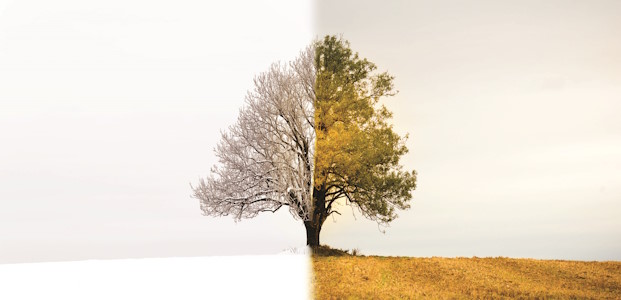 Are the Gift's of ADHD a Mirage