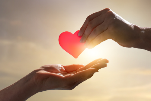 Call to Action Images (500 x 350 px) (3)